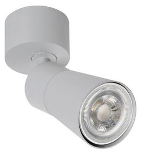 SLV stropna svetilka Puri 2.0 Cone, siva, Ø 5 cm, kovina, zatemnjen, Siva, Dnevna soba / jedilnica, Aluminij, Sodobni