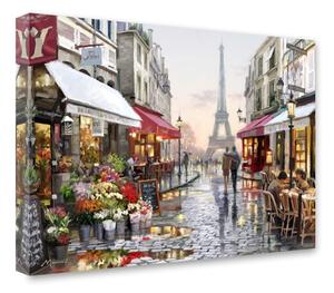 Slika Styler Canvas Watercolor Paris I, 60 x 80 cm