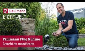 Vrtna svetilka Paulmann Plug & Shine (6 W, višina: 29 cm, 520 lm, toplo bela svetloba)