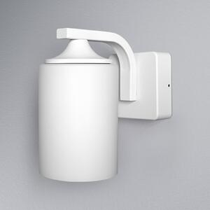 OSRAM zunanja stenska svetilka ENDURA CLASSIC LANTERN CYLINDER, bela, zatemnjen, Bela, Aluminij, Sodobni
