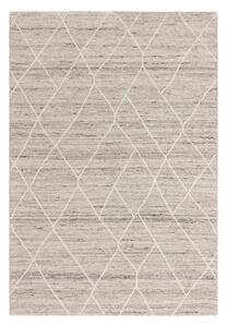 Svetlo siva volnena preproga 120x170 cm Noah – Asiatic Carpets