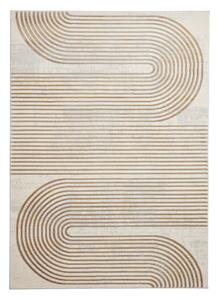 Siva/zlata preproga 170x120 cm Apollo - Think Rugs