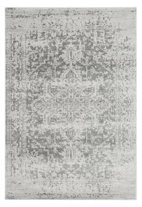 Siva preproga 120x170 cm Nova – Asiatic Carpets