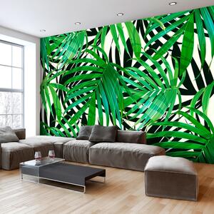 Fototapeta - Tropical Leaves