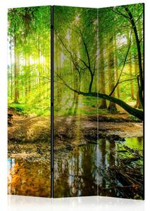 Artgeist Paravan Forest Stream, 3-Delni, Enostranski