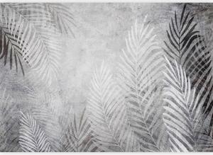 Artgeist Fototapeta Palm Trees In The Dark, 150x105cm