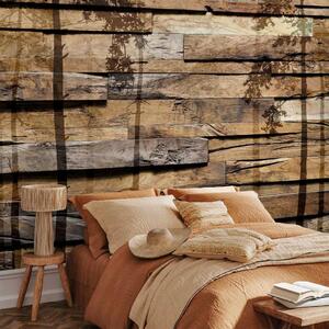 Artgeist Fototapeta Shadow Of Trees, 150x105cm