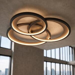 Trio Lighting Stropna svetilka LED Granada, črna mat/zlata, zatemnjen, Črna, Dnevna soba / jedilnica, Kovina, Sodobni
