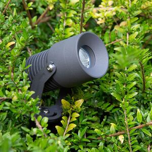 EVN Merlo LED vrtni reflektor z ozemljitvijo, 3.000K, 10W, Črna, Kovina, Sodobni