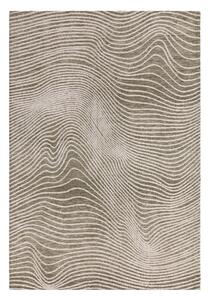 Zelena/kremno bela preproga 120x170 cm Mason – Asiatic Carpets