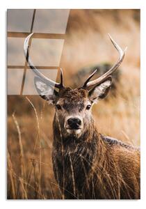 Steklena slika 70x100 cm Deer – Wallity