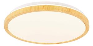 STROPNA LED-SVETILKA 18 W 230 V