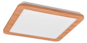 Oranžna LED stropna svetilka 30x30 cm Camillus – Trio