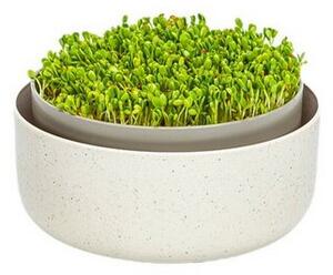 Plastia Microgreens, slonova kost