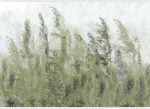 FOTOTAPETA