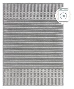 Siva pralna preproga iz šenila 200x320 cm Elton – Flair Rugs