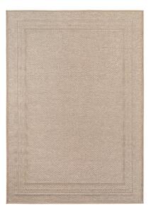 Bež notranja in zunanja preproga 80x150 cm Desert 1304 – Ayyildiz Carpets