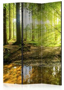 Artgeist Paravan Forest Lake, 3-Delni, Dvostranski