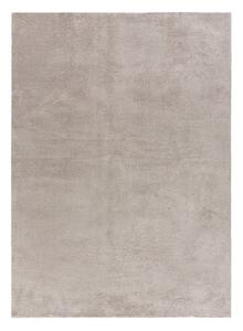 Svetlo siva preproga 200x290 cm Loft - Universal