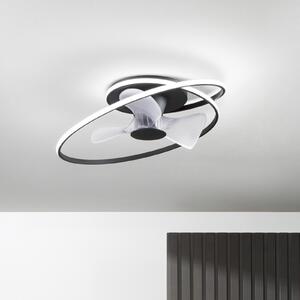 INTEC LED stropni ventilator Storm, črno-bel, Ø 77 cm CCT, tiho delovanje, zatemnjen, Črna, Dnevna soba / jedilnica, Kovina, Sodobni