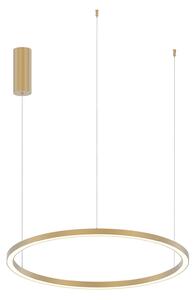 Luce Ambiente Design LED-visoka svetilka Hoop, zlata, Ø 80 cm, kovina, CCT, Zlata / medeninasta, Dnevna soba / jedilnica, Aluminij, Sodobni