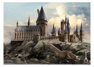 Otroška foto ozadje Harry Potter Hogwarts 252 x182 cm, 4 deli