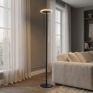Arcchio LED-stoječa svetilka Frile, črna, višina 190 cm, z možnostjo regulacije, zatemnjen, Črna, Dnevna soba / jedilnica, Aluminij, Sodobni
