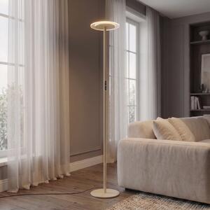 Arcchio LED-stoječa svetilka Frile, bež, višina 190 cm, z možnostjo regulacije, zatemnjen, Bež, Dnevna soba / jedilnica, Aluminij, Sodobni