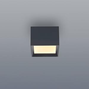 PURE LED-stropna svetilka Manhatten, mystic grey, 1-žarilna, CCT, zatemnjen, Siva, Hodnik, Aluminij, Sodobni