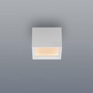 PURE LED-stropna svetilka Manhatten, bela, 1-žarilna, CCT, zatemnjen, Bela, Hodnik, Aluminij, Sodobni