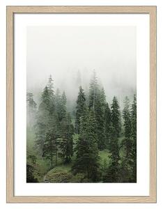 ProArt Slika Slim Scandic (Foggy Trees II, Š x V: 33 x 43 cm)