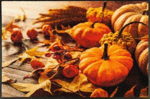 PREDPRAŽNIK Pumpkin Glow 50/75 cm potiskano večbarvno