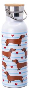 Svetlo modra/rjava steklenica za vodo za na pot iz nerjavečega jekla 425 ml Sausage Dog – Sass & Belle