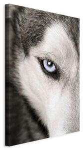 Artgeist Slika Na Platnu Dog's Look