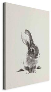 Artgeist Slika Na Platnu Fluffy Bunny