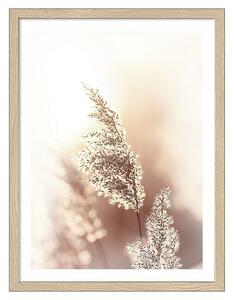 ProArt Slika Slim Scandic (Dried Fiber, Š x V: 33 x 43 cm)