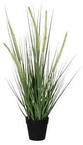 Umetna rastlina Dogtail (Višina: 53 cm)