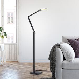 Paul Neuhaus LED-stoječa svetilka SAMSKY, siva, višina 161 cm, kovina, dotikni dimmer, zatemnjen, Siva, Dnevna soba / jedilnica, Aluminij, Sodobni