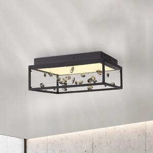 Paul Neuhaus LED-stropna svetilka SKINA, črna, 40 cm, CCT, z daljinskim upravljalnikom za, zatemnjen, Črna, Dnevna soba / jedilnica, Kovina, Sodobni