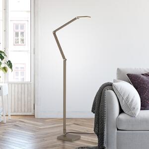 Paul Neuhaus LED-stoječa svetilka SAMSKY, bronasta, višina 161 cm, kovinski dotikni dimmer, zatemnjen, Bronasta / starinska medenina, Dnevna soba / jedilnica, Aluminij, Sodobni