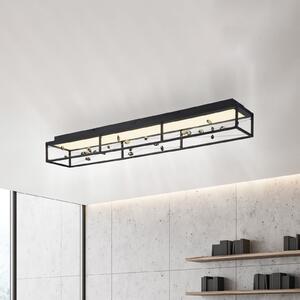 Paul Neuhaus LED-stropna svetilka SKINA, črna, 112 cm, CCT, z možnostjo zatemnitve,, zatemnjen, Črna, Dnevna soba / jedilnica, Kovina, Sodobni