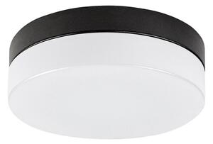 Rabalux 75025-LED Kopalniška stropna svetilka GAELO LED/15W/230V pr. 23 cm črna