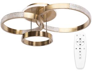 Sodobna stropna svetilka LED G004-C Brush Gold
