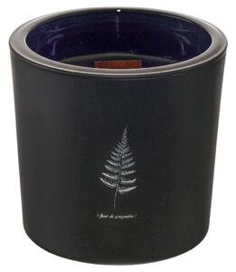 Mömax Sveča V Kozarcu Candle