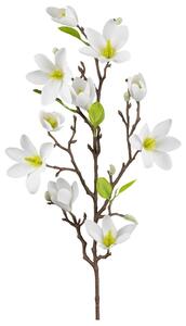 Mömax Magnolija Magnolie I -Paz-