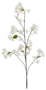 Mömax Veja S Češnjevimi Cvetovi Kirschblüte I -Paz-
