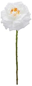Mömax Vrtnica Rose Ii -Paz-