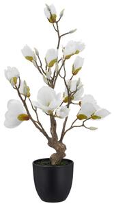 Mömax Magnolija Magnolie I -Paz-