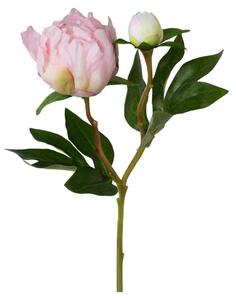 Mömax Potonika Peonie I -Paz-