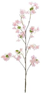 Mömax Veja S Češnjevimi Cvetovi Kirschblüte I -Paz-